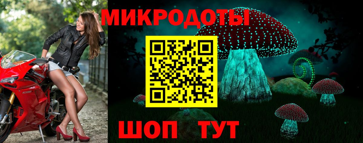 Галлюциногенные грибы Cubensis  Вход с VPN  Якутск 